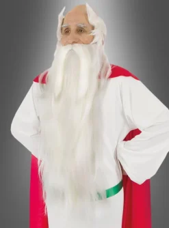 Miraculix Bart Mit Perücke Aus Asterix Lizenz