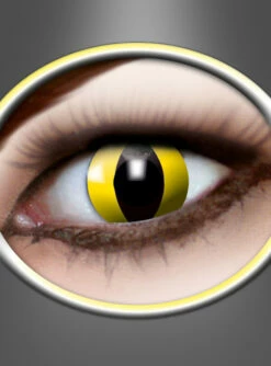 Monatslinsen Yellow Cat Gelb