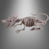 Große Ratte Skelett Mit LED Augen 38cm