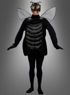 Riesenfliege Lästige Mücke Mit Maske