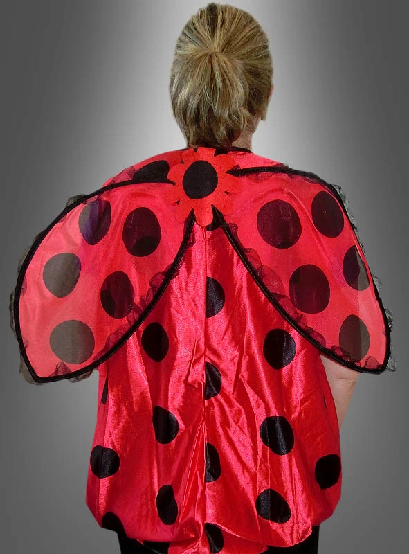 Darling Marienkäfer 3 Darling Marienkäfer – Bild 3